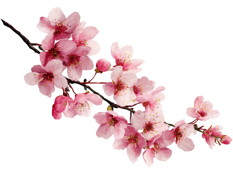 Sakura top left ornament